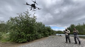 Dr. Daniel Auerbach (left) and Avery Hoffman (right) fly a drone to survey the Kwethluk River in July 2024. Dr. Daniel Auerbach (left) and Avery Hoffman (right) fly a drone to survey the Kwethluk River in July 2024. Credit Andrew Magel/KRITFC.