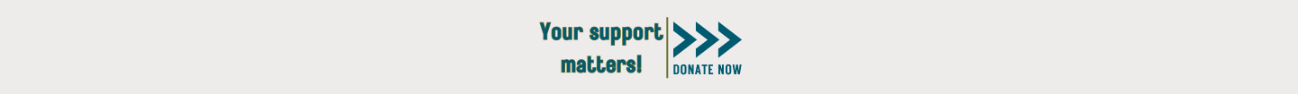 Pledge Drive Header (3).png