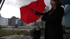 The wind blows the umbrella of Esther van Geloven, a Dutch government policy officer, at a rooftop garden in Rotterdam. 