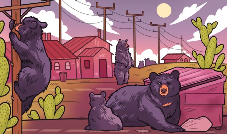 An illustration of black bears shows a mother bear and baby bear near a Dumpster, a bear climbing a power line pole and another standing on hind legs. 