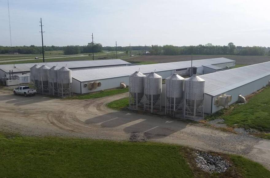 A hog CAFO off Rt. 25 in Tippecanoe County.