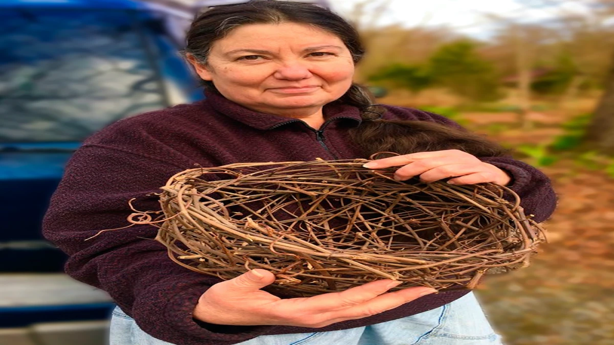 Nancy Basket - "The Turtle and the Birds" - Vimarsana News