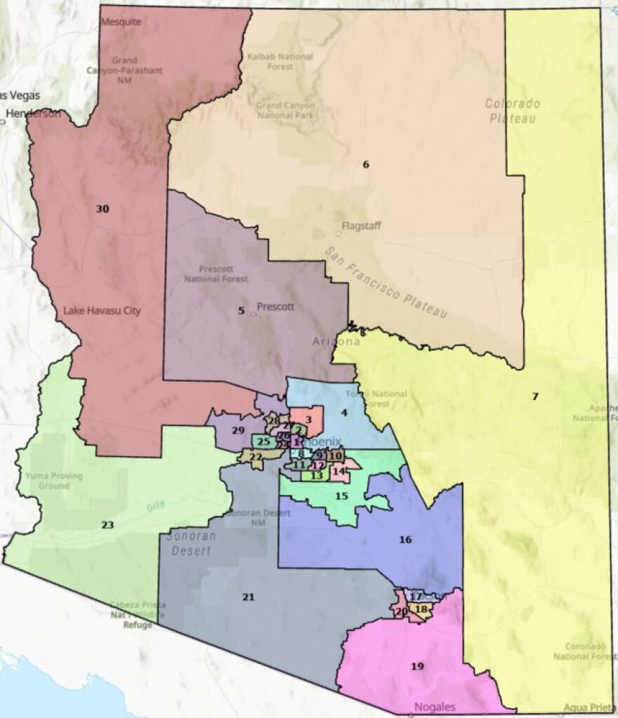 legislative redistricting grid map