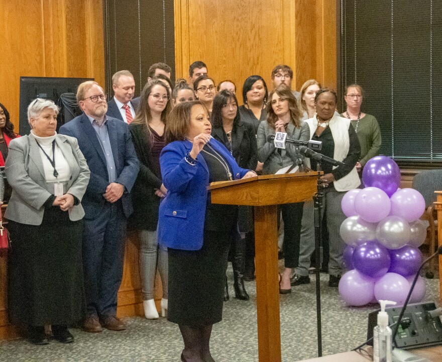 Flanked by stakeholders and those who work with the population involved, Allen Superior Judge Lori Morgan announces the creation of a new Domestic Violence Court as the newest of Allen County's problem solving courts.