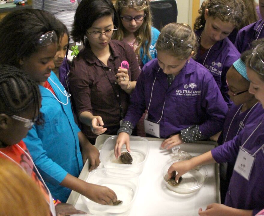 Danforth Center postdoc and plant biologist Malia Gehan shows some Girl Scouts how plants absorb water.