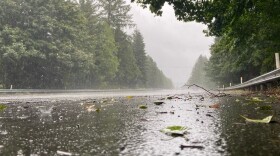 A rainy roadway lined with trees