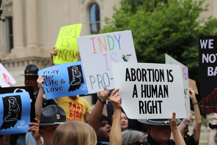 A person holding up a sign that says "Abortion is a human right" in big block lettering. 