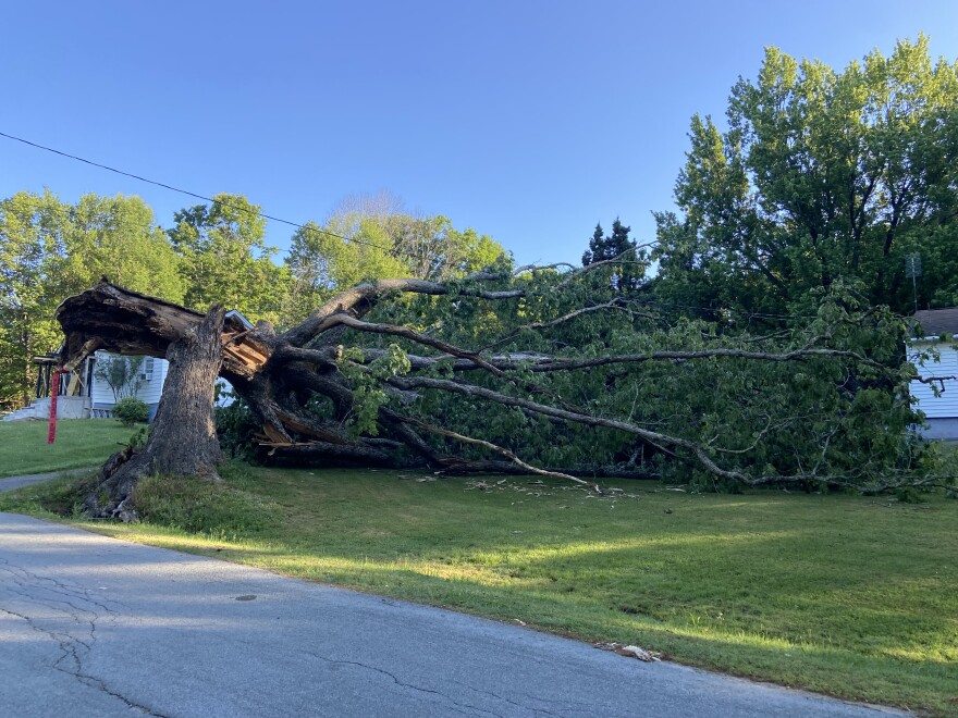 A fallen tree in Sullivan County after the weekend thunderstorm.