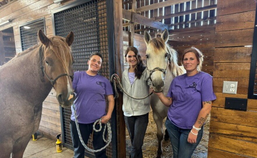 Recovery with the help of therapeutic horses.