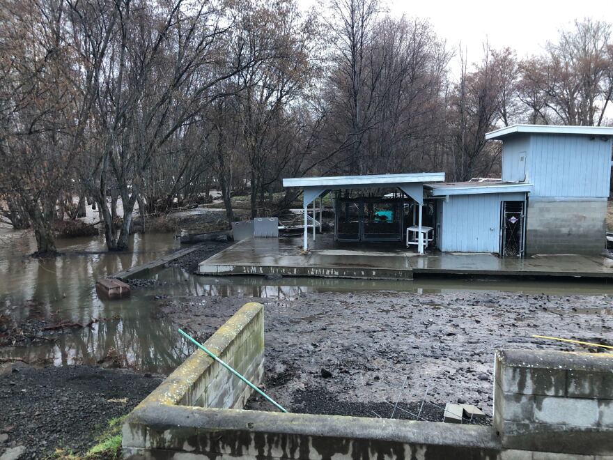 The lamprey restoration project on the Confederated Tribes of the Umatilla Reservation, near Mission, Ore., was completely destroyed by recent flooding. Tanks full of some 1,500 eels washed away. The tribes are working to restore this valuable traditional food source by rearing juvenile lamprey.