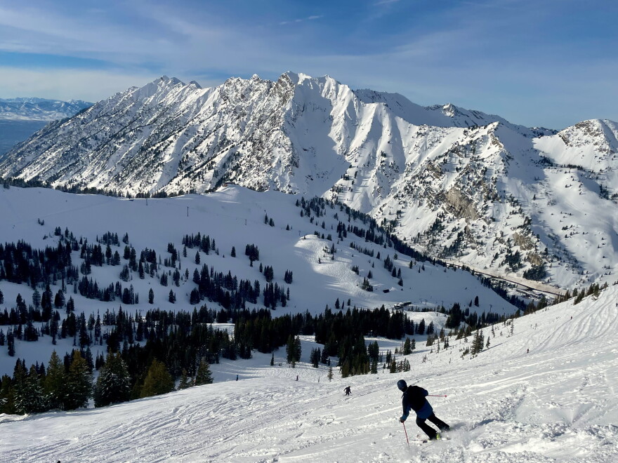 a person in a dark jacket skis down a snowy mountainside
