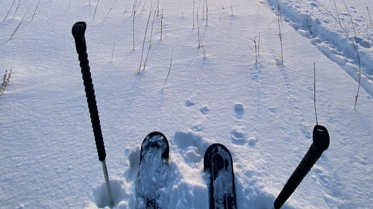 Uphill ski passes at Utah Olympic Park go on sale Nov. 6