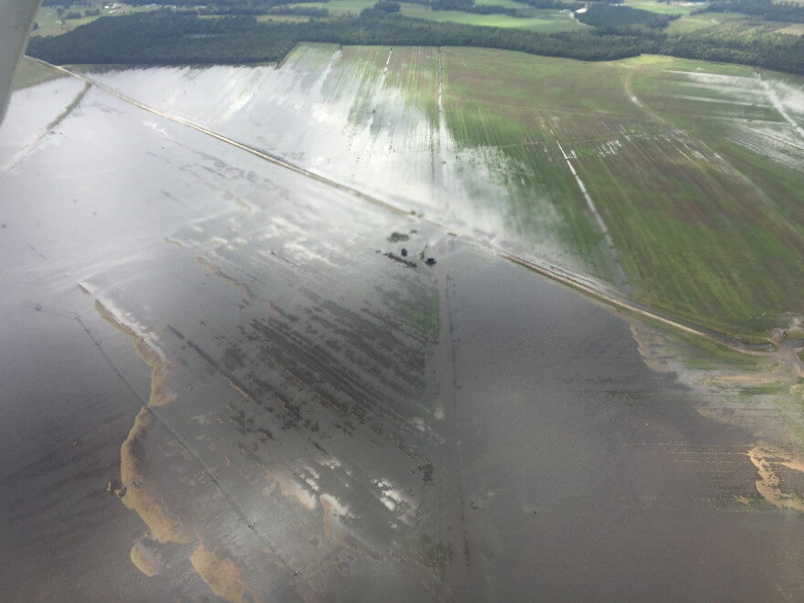 Flooded farm in Darlington County, SC, October 7, 2015