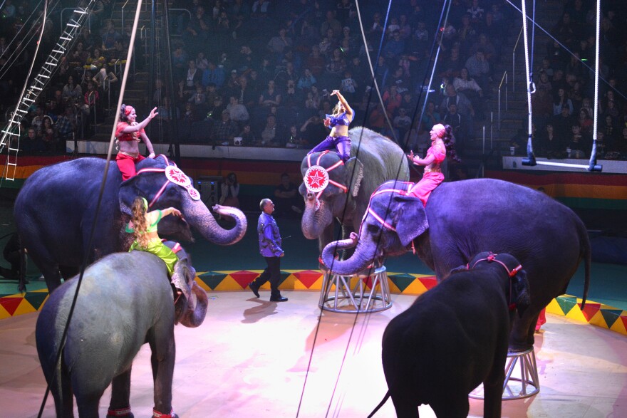 The 2022 circus will feature several animals, such as elephants, camels and dogs. A grassroots group plans to protest the use of animals in the circus.