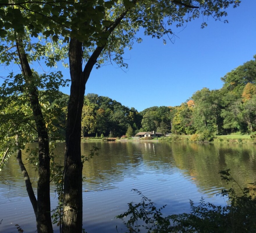 Mill Creek Metro Pareks