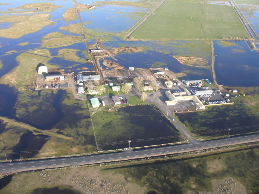 Harney County is seeing significant spring runoff that is flooding hay meadows and causing ranchers to move cattle – but the extra water should result in a good hay production year.