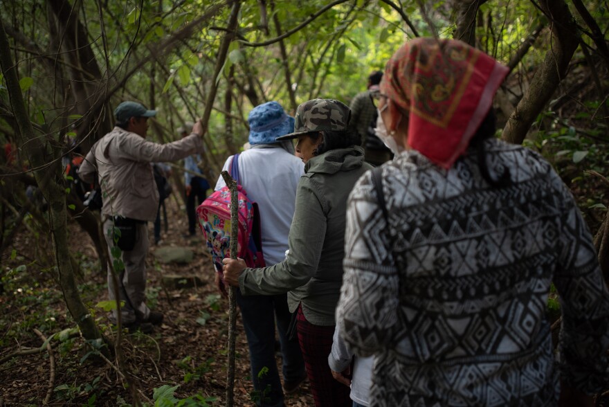 A group of searchers for missing persons walks through a field during an investigation by police authorities and family groups participating in the fifth National Missing Persons Search Brigade in Veracruz state.