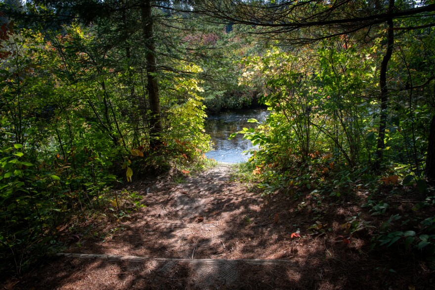 A trail leads down to a flowing river, surrounded by green trees filled with sunlight. 