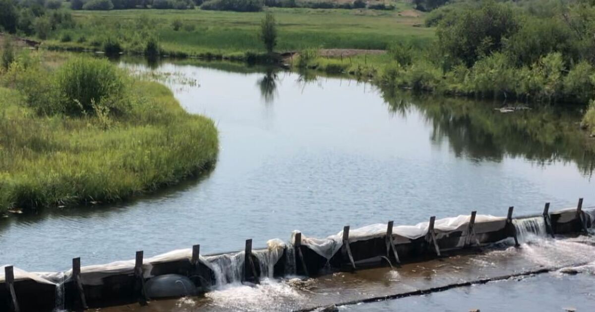 Federal funding provides “generational opportunity” to reconnect Clark Fork fish habitat
