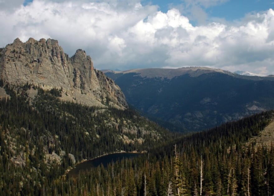 forests, research, wildfires, colorado