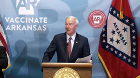 Gov. Asa Hutchinson speaking with reporters during Tuesday's press conference.