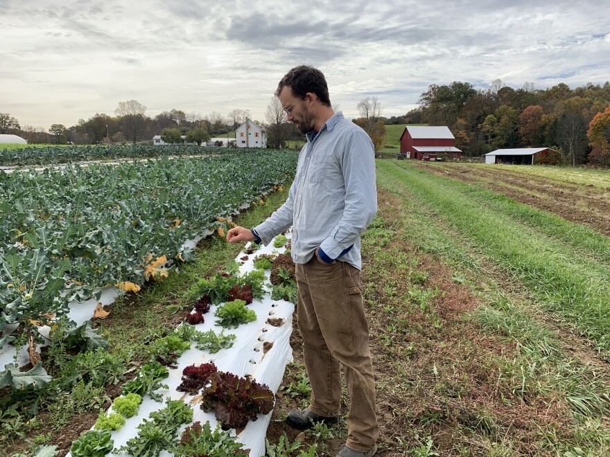 Who Cooks For You farm