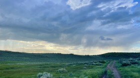 FILE - A Round Valley trail in the summer after a rain storm.