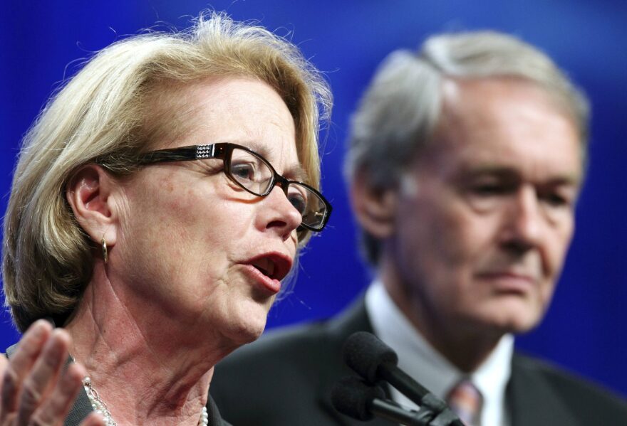 Rep. Niki Tsongas speaks at the Massachusetts Democratic State Convention in 2012. (Michael Dwyer/AP)