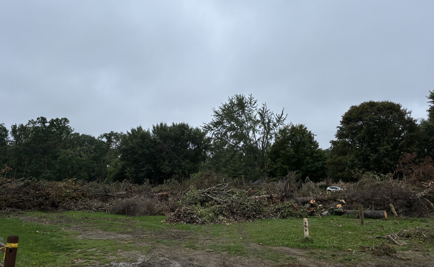 downed limbs and branches piled in a park