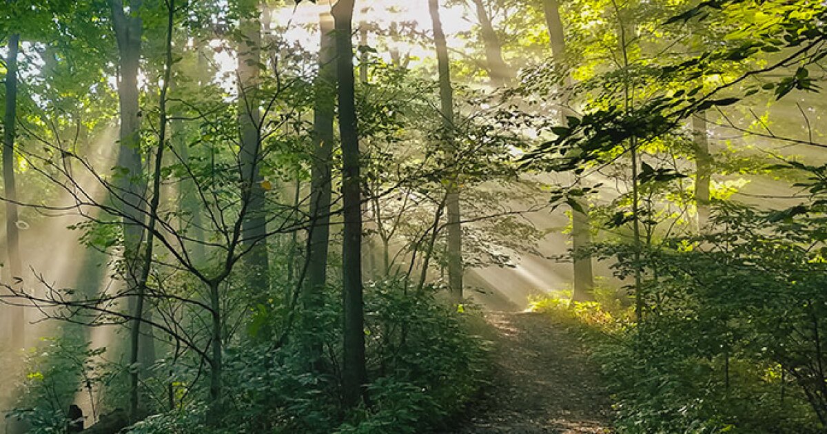 Brewing Locally Image