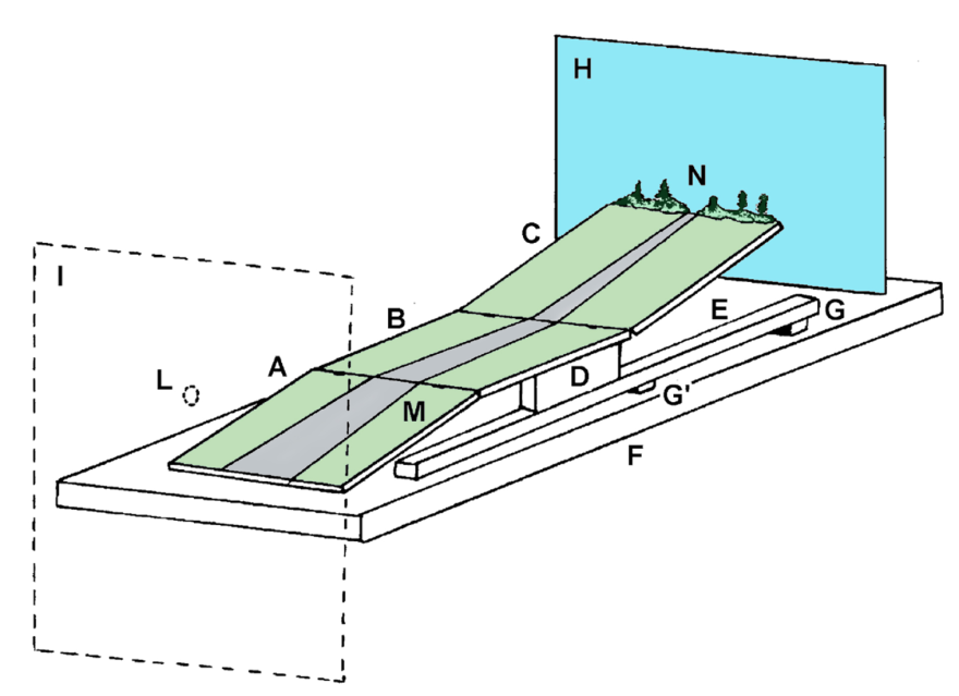 A model of a "Magnetic Hill" phenomenon from Luigi Garlaschelli's research.