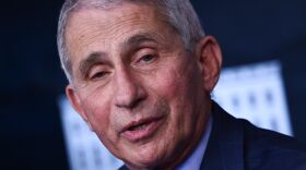 Director of the National Institute of Allergy and Infectious Diseases Anthony Fauci speaks during a White House Coronavirus Task Force press briefing at the White House last month.