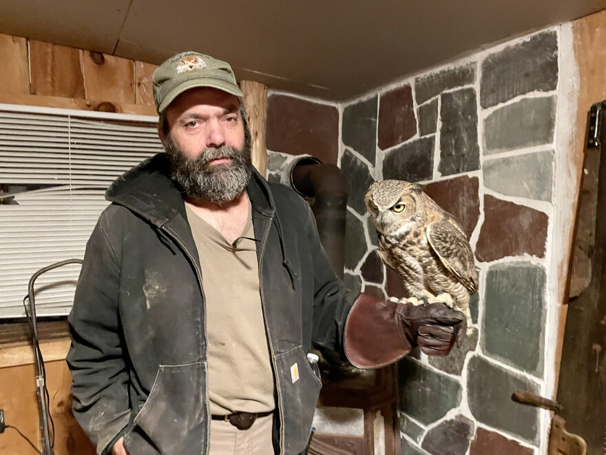 Joe Gomes hunts with Bobo, a great horned owl