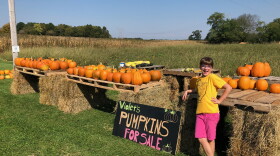 Violet Alexander sells pumpkins she raised on her family's farm.  Her parents, Ryan and Melissa, are part of a new generation of young farmers in Ohio.
