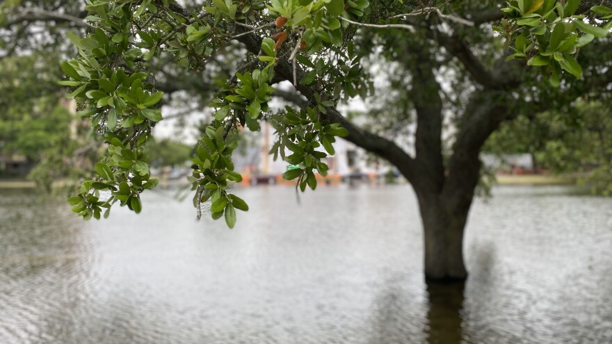 Tidal flooding at the Hague in Norfolk. (Photo by Katherine Hafner)