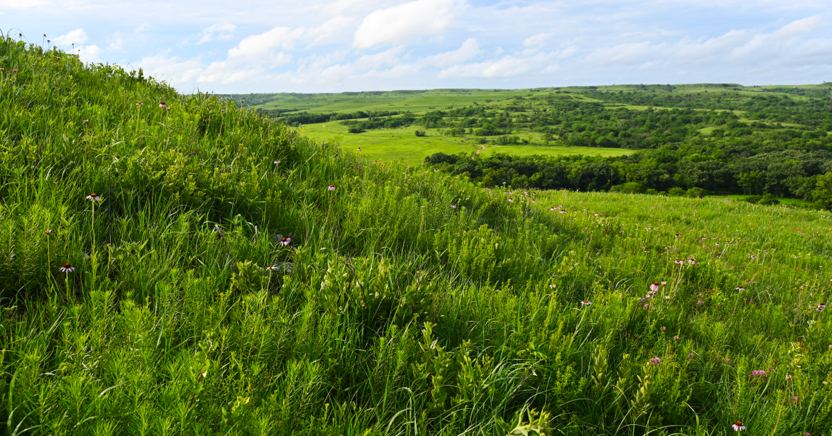 Kansas in 1776 was a wild, unsettled, dynamic landscape
