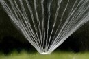 FILE -- Water flies from a sprinkler on a lawn in Sacramento, Calif., on July 8, 2021. State regulators proposed on Tuesday, March 12, 2024, delaying new conservation rules aimed at reducing the amount of water people use on their lawns. The rules would be enforced with water agencies, not individuals. Water agencies had asked for more time to comply. (AP Photo/Rich Pedroncelli, File)