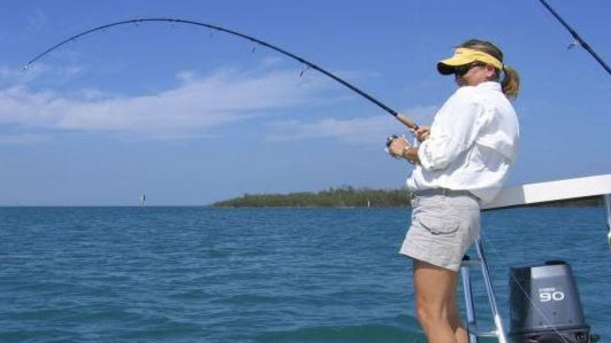 Prized pink-tagged bass are swimming in Florida waters - Vimarsana News