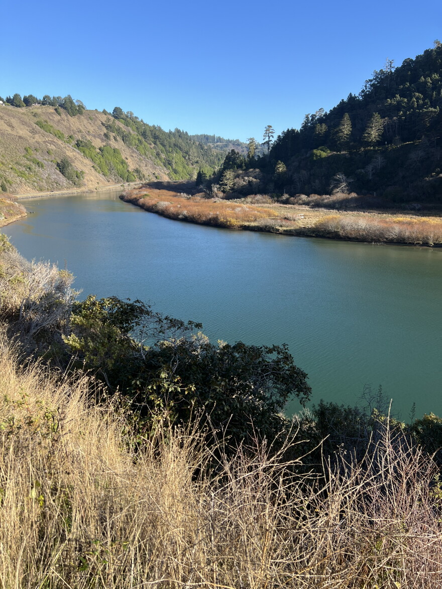 Looking east down the Navarro River