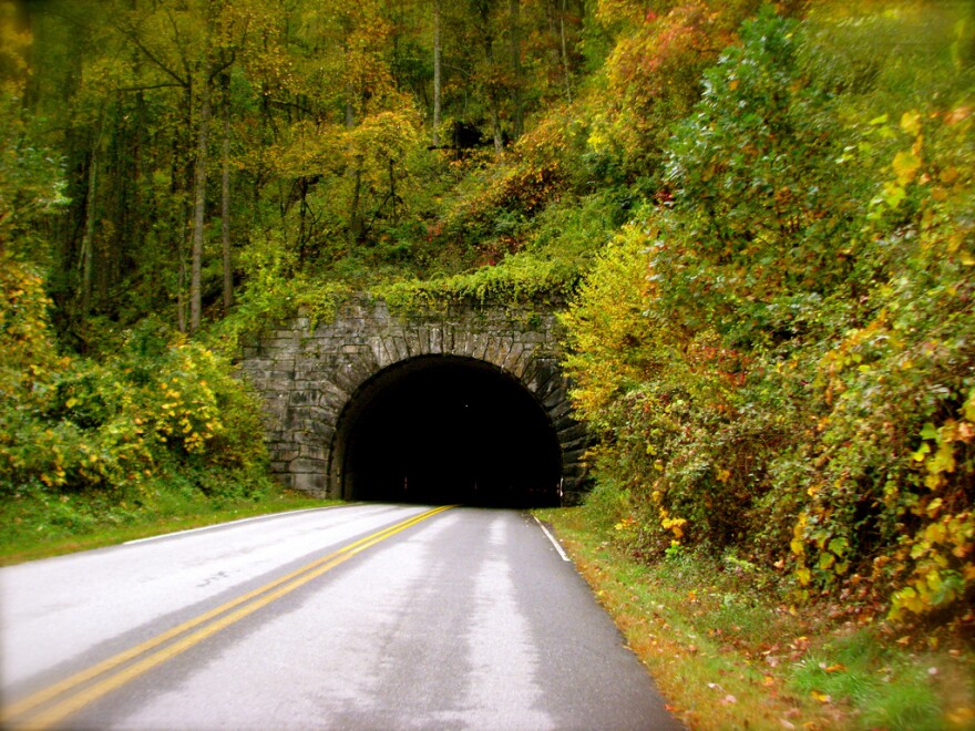 Image of Pisgah National Forest