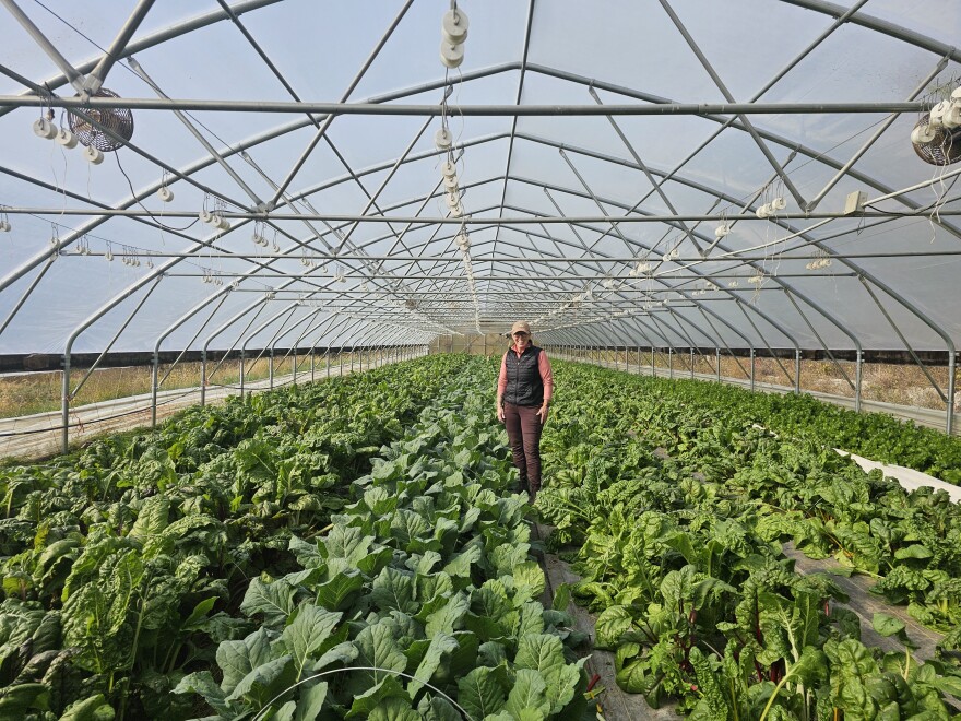 Liz Griznak stands with this year’s Swiss chard harvest inside the greenhouse where she also grew winter squash and other produce for the LFPA program.
