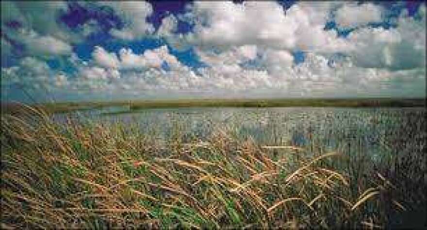 The Everglades. Photo: National Parks Service