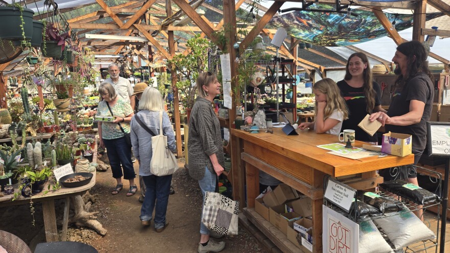 Shoppers browse cactus and succulents and talk to staff at Yaquina Nursery in the Yachats River Valley.