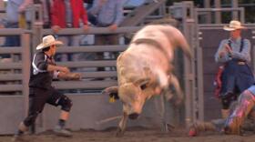 Rodeo bullfighter Rowdy Moon runs in to the rodeo ring after a cowboy is thrown by a bucking bull. 