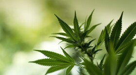 Ohio's proposal to legalize recreational and medical marijuana is being met with opposition from residents who generally support legalizing pot.