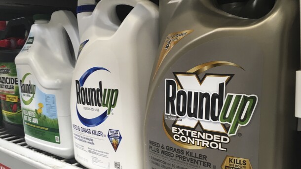 Three jugs of Roundup product sit on a store shelf. Two containers are white and the other is a gold-ish. 