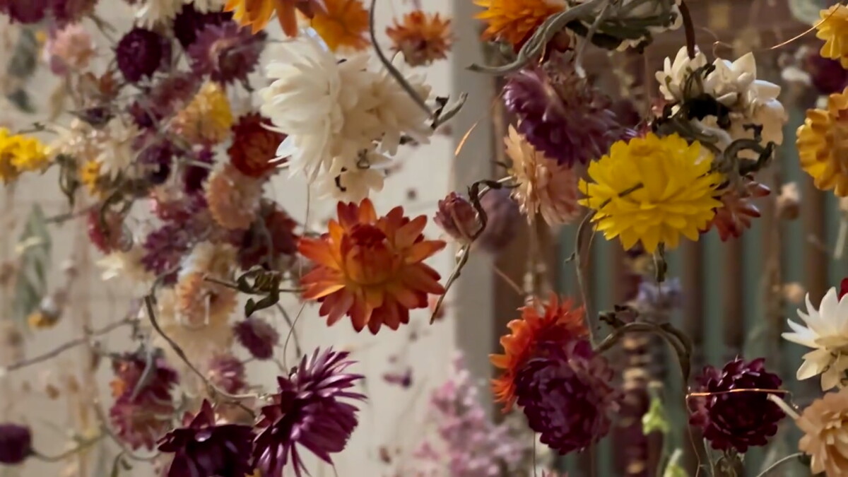 Cleveland Public Library dazzles visitors with floating flowers. - Vimarsana News