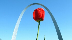 The Gateway Arch in downtown St. Louis.