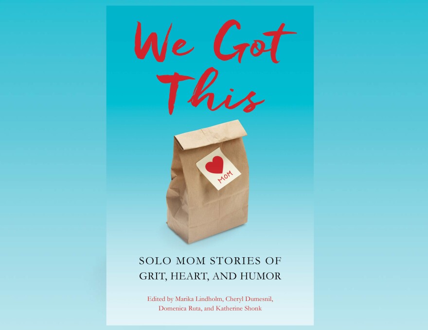 Book cover for "We Got This"