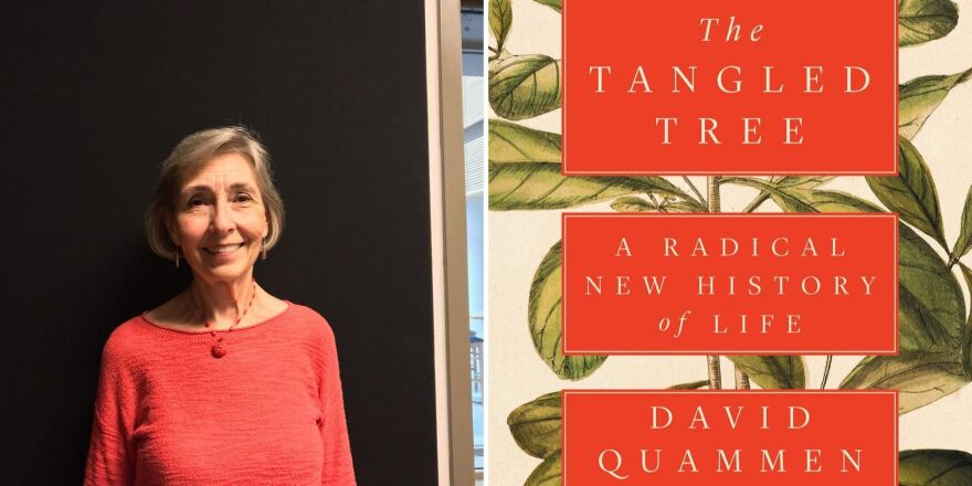 Jeanne Huffman reviews The Tangled Tree: A Radical New History of Life.